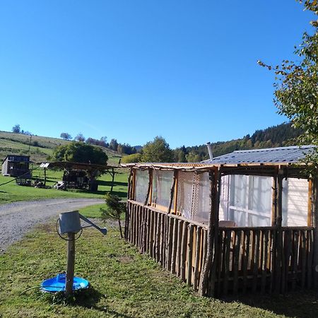 Altana Caloroczna Vira Numer 7 Herbergerowka Agroturystyka Na Wsi Duszniki Zdroj Luaran gambar