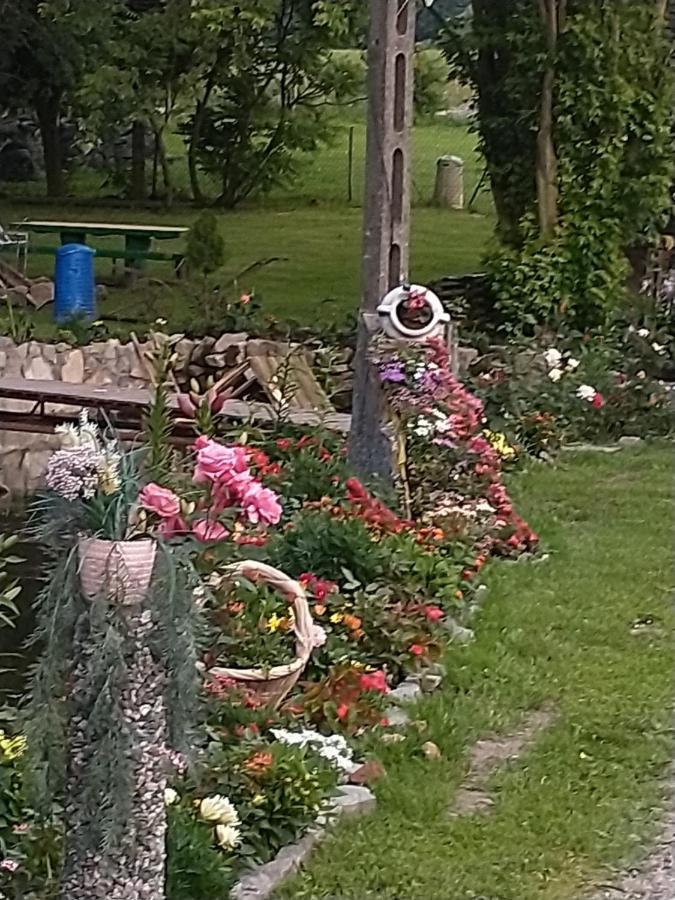 Altana Caloroczna Vira Numer 7 Herbergerowka Agroturystyka Na Wsi Duszniki Zdroj Luaran gambar