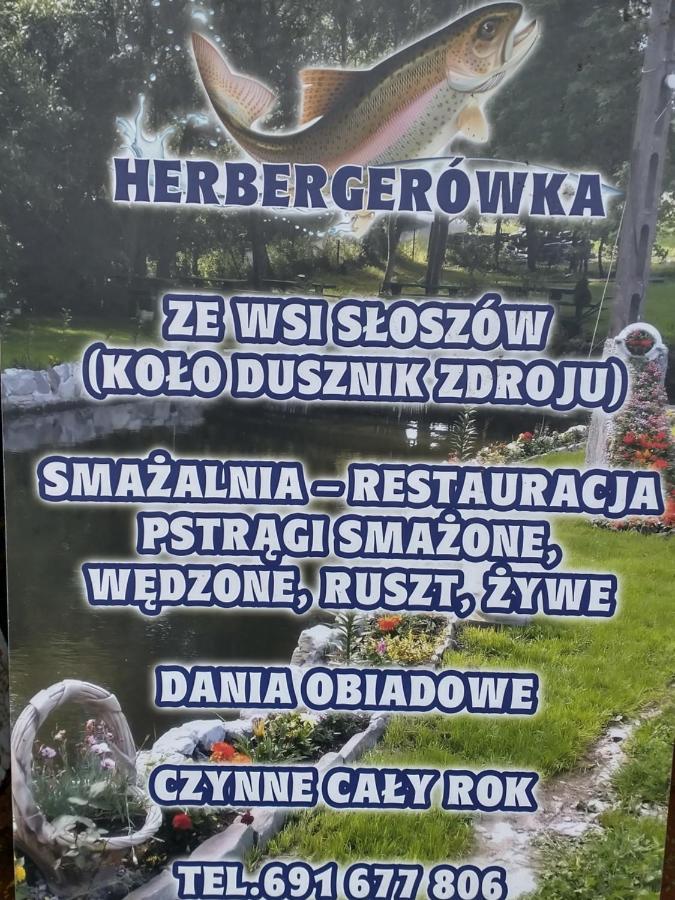 Altana Caloroczna Vira Numer 7 Herbergerowka Agroturystyka Na Wsi Duszniki Zdroj Luaran gambar