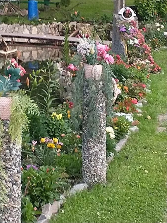 Altana Caloroczna Vira Numer 7 Herbergerowka Agroturystyka Na Wsi Duszniki Zdroj Luaran gambar